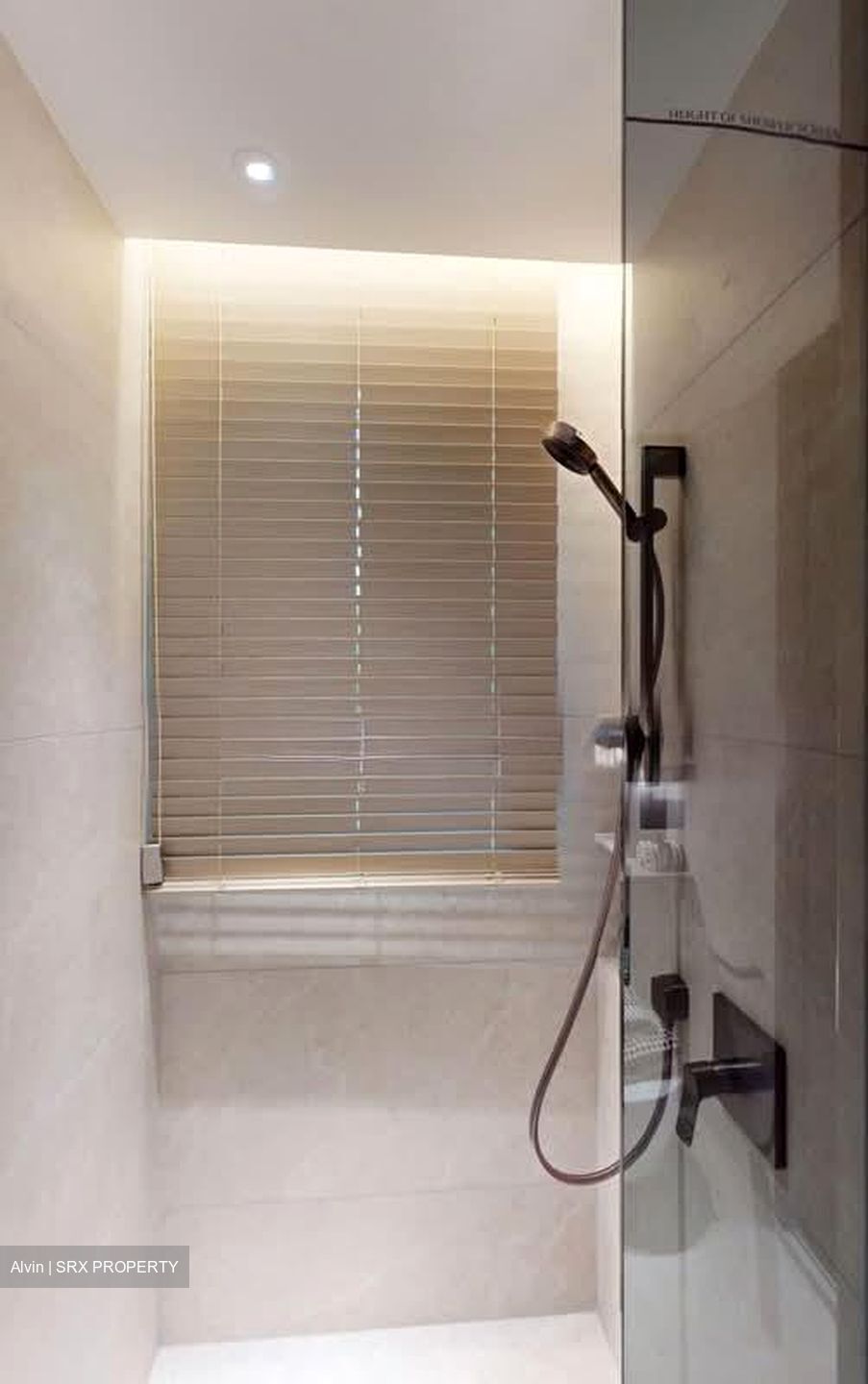 Dunearn Road (D11), Condominium #622255501